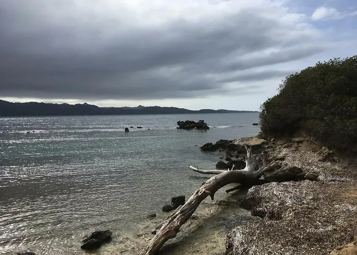 Les Marines Du Soleil Apartment